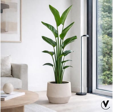 Pot Krabi matte sand Ø31 x H28 cm Vase The World