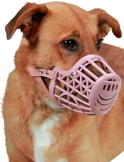 Honden Muilkorf - Kunststof Mondbeschermer - Veiligheid Hond - Verstelbare Band - 18 cm - Bruin