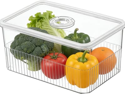 Dailygoods- Voedselvoorraadcontainer met verzegeld deksel - Opbergdoos - Koelkastorganisator - Kunststof - Grote capaciteit - 24,5 x 16,2 x 11,5 cm