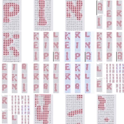 Ariel Pink - Sit N' Spin (LP)
