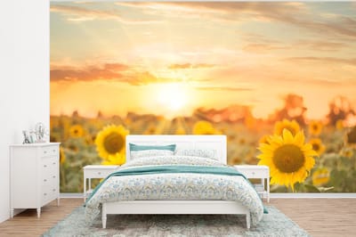 Behang - Fotobehang Zonnebloem - Zon - Bloemen - Breedte 350 cm x hoogte 260 cm