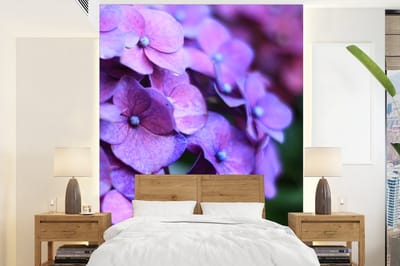 Behang - Fotobehang Bloemen - Paars - Hortensia - Natuur - Bloemblaadjes - Breedte 160 cm x hoogte 220 cm