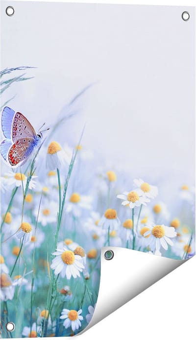 Gards Tuinposter Witte Kamille Bloemen met een Vlinder - 40x60 cm - Tuindoek - Tuindecoratie - Wanddecoratie buiten - Tuinschilderij