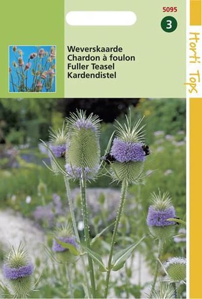 Hortitops Weverskaarde Bloemzaad - Dipsacus Sativus