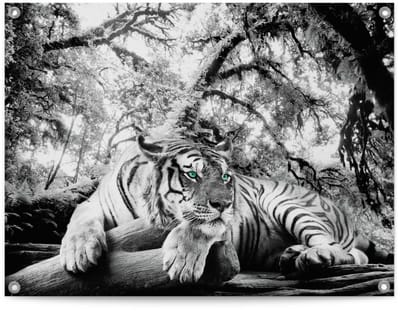Tuinposter Tijger - 60 x 80 - Canvas - REINDERS
