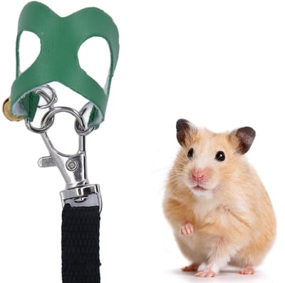 Dailygoody - Hamster Harnas en Riem Set - Kunstleer Wandelharnas - Gemakkelijk Te Dragen - Groen - Voor Buiten Wandelen - Comfortabel en Veilig - Gesc