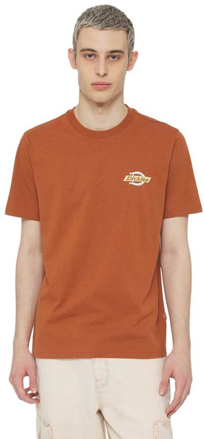 Dickies Ruston T-shirt Met Korte Mouwen Oranje S Man