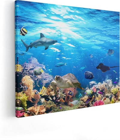 Artaza Canvas Schilderij Zeeschildpad - 50x40 cm - Wanddecoratie Dieren - Muurdecoratie Tropische Vissen - Schilderijen Op Canvas Zee