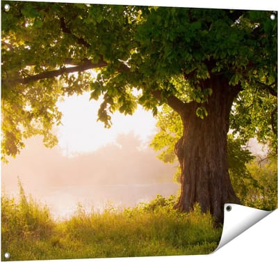 Gards Tuinposter Eikenboom aan het Water met Volle Bladeren - 100x80 cm - Tuindoek - Tuindecoratie - Wanddecoratie buiten - Tuinschilderij