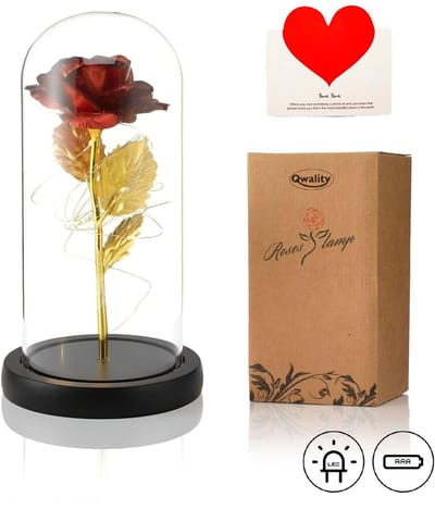 Luxe Roos in Glas met LED – Rode Roos in Glazen Stolp - Valentijn - Moederdag - Bekend van Beauty and the Beast - Cadeau voor vriendin moeder haar - Zwarte Voet - Qwality®