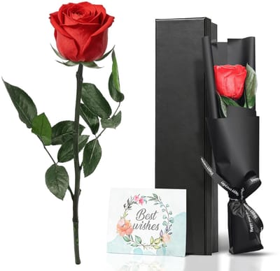 Dailygoods- Eeuwige Roos - Geconserveerde Roos met Steel - Duurzaam Bloemencadeau - Geschikt voor Verjaardagen/Jubilea - Luxe Verpakking - Symboliseert Eeuwige Liefde