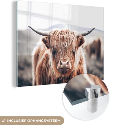 MuchoWow® Glasschilderij 120x90 cm - Schilderij acrylglas - Schotse Hooglander - Berg - Hoorn - Foto op glas - Schilderijen