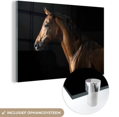 MuchoWow® Glasschilderij 60x40 cm - Schilderij acrylglas - Paard - Dieren - Nacht - Zwart - Foto op glas - Schilderijen