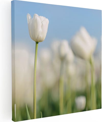 Artaza Canvas Schilderij Tulpenveld - 30x30 cm - Klein - Muurdecoratie Bloemen - Wanddecoratie Woonkamer - Kamer Accessoires