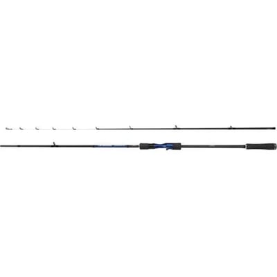 Shimano Fishing Technium Tai Rubber Ax Baitcasting Hengel Zilver 2.18 m / 130 g