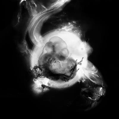 Saffronkeira - Saffronkeira (10" LP)