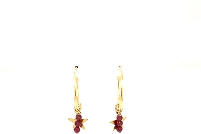Pat's Jewels Oorbellen - Oorbellen dames - Oorringen - Edelsteen - Ster bedel - Geboortesteen