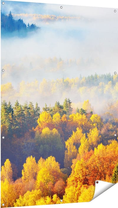 Gards Tuinposter Gekleurde Herfstbos met Mist - 100x150 cm - Tuindoek - Tuindecoratie - Wanddecoratie buiten - Tuinschilderij