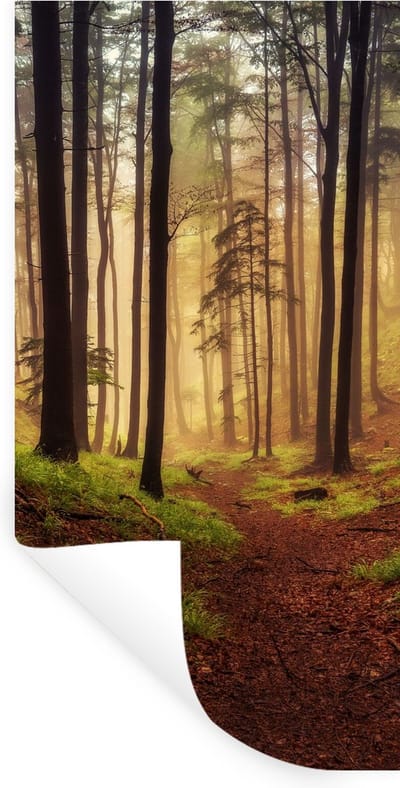 Muurstickers - Sticker Folie - Bomen - Natuur - Bos - 40x80 cm - Plakfolie - Muurstickers Kinderkamer - Zelfklevend Behang - Zelfklevend behangpapier - Stickerfolie