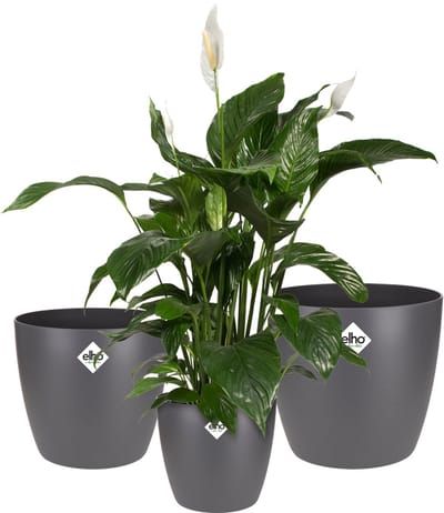 Elho Brussels Rond Bloempotten - Plantenpotten voor Binnen - 100% Gerecycled Plastic - Set van 3 - Ø 16, 18, 20 cm - Antraciet
