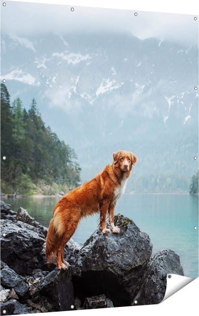 Gards Tuinposter Retriever Hond bij het Water in de Bergen - 120x160 cm - Tuindoek - Tuindecoratie - Wanddecoratie buiten - Tuinschilderij
