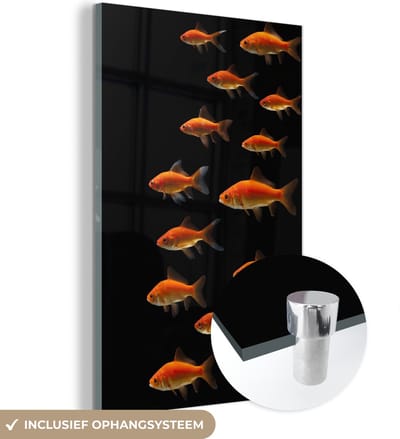 MuchoWow® Glasschilderij 120x180 cm - Schilderij acrylglas - Goudvis - Dieren - Zwart - Foto op glas - Schilderijen
