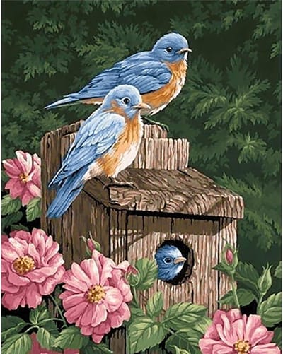 Diamond  Painting Nest 48x38