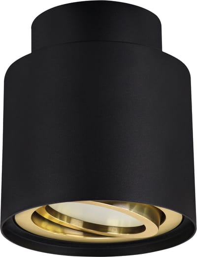 HARIET C - Opbouwspot - Rond - GU10 Fitting - 1 Lichtpunt - past over centraaldoos - Zwart / Goud kleur - plafondspot - Spotjes voor woonkamer, slaapkamer of keuken