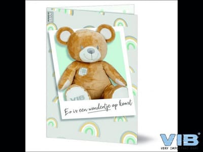 Wenskaart Folie/Embossing 'Er is een wondertje op komst' VIB Beer