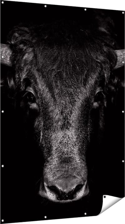 Gards Tuinposter Stierenkop - Stier - Zwart Wit - 120x180 cm - Tuindoek - Tuindecoratie - Wanddecoratie buiten - Tuinschilderij