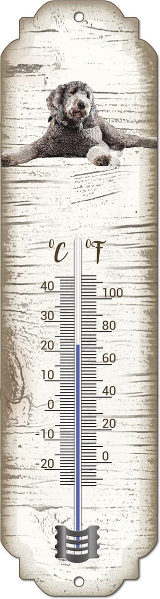 Thermometer: Labradoodl grijs | Hondenras | Temperatuur binnen en buiten | -25 tot +45C