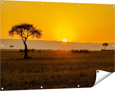 Gards Tuinposter Zonsopgang in de Savanne met een Boom - 120x80 cm - Tuindoek - Tuindecoratie - Wanddecoratie buiten - Tuinschilderij