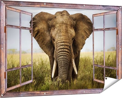Gards Tuinposter Doorkijk Olifant in het Wild - Kleur - 150x100 cm - Tuindoek - Tuindecoratie - Wanddecoratie buiten - Tuinschilderij