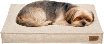BingoPaw Modern Hondenkussen M - 75 x 50.5 x 10 cm - Orthopedisch Hondenbed - Afneembare en Wasbare Hoes - Waterafstotend & Antislip - Beige