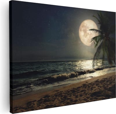 Artaza Canvas Schilderij Zeezicht - 40x30 cm - Klein - Wanddecoratie Strand - Muurdecoratie Palmboom - Kamer Accessoires Volle Maan - Woonkamer