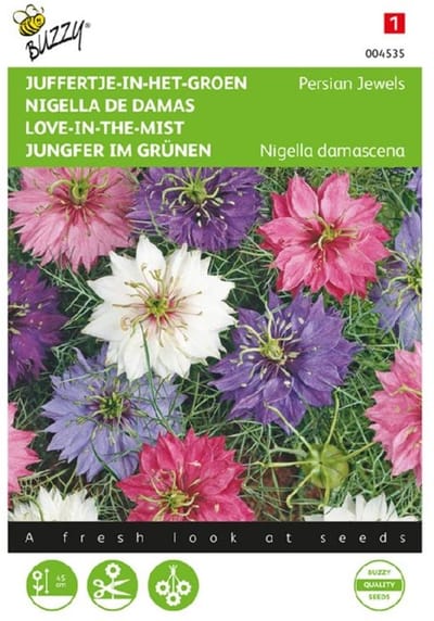 Juffertje int groen Persian Jewels - Nigella damascena