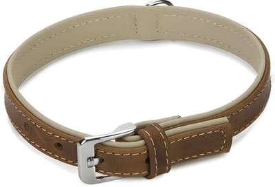 Beeztees Comfort - Halsband Hond - Leer - Bruin - 40 cm x 17 mm