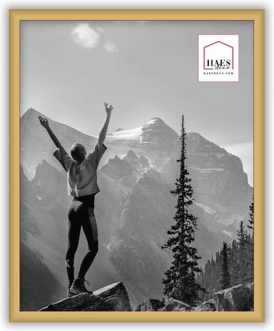 HAES DECO - Kunststof fotolijst 20x25 goud Easy Frame - EF12G