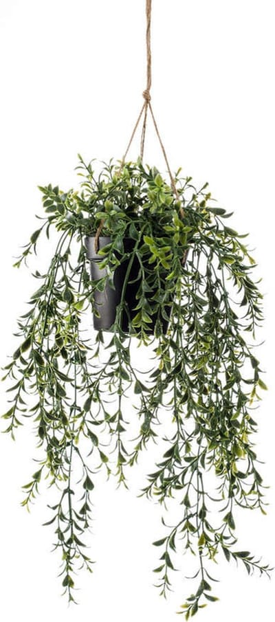 Emerald - Kunst Hangplant in pot Buxus 50cm - Kunstplant voor binnen