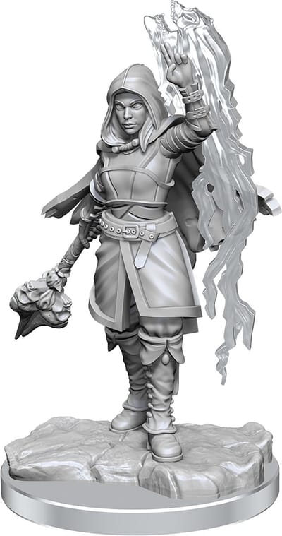 D&D Nolzur's Marvelous Miniatures Half-Elf Warlock Female