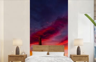 Behang - Fotobehang Cactus - Lucht - Zonsondergang - Paars - Roze - Breedte 120 cm x hoogte 240 cm