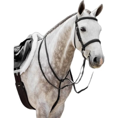 Lemieux Teugels Lemieux Hunter Leather Laced Zwart-zilver
