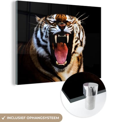 MuchoWow® Glasschilderij 160x120 cm - Schilderij acrylglas - Tijger - Tanden - Zwart - Foto op glas - Schilderijen