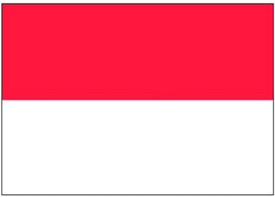 Vlag van Indonesie stickers - 7 x 10 cm - Landen - Indonesische vlaggetjes - versiering - feestartikelen