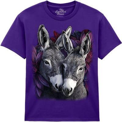 KIDS Ezels Donkey Pair The Coloured House KIDS T-shirt XL