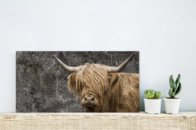 Aluminium schilderij 40x20 cm - Wanddecoratie metaal - Schotse hooglander - Wereldkaart - Dieren - Metalen muurdecoratie woonkamer - Decoratie industrieel - Foto op dibond - Industriële accessoires slaapkamer
