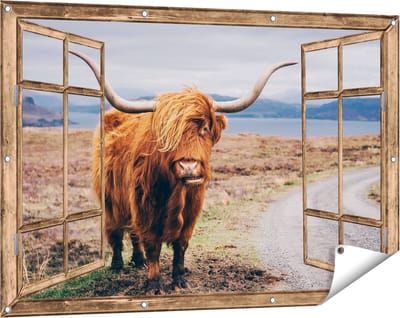 Gards Tuinposter Doorkijk Schotse Hooglander Koe op de Weg - 120x80 cm - Tuindoek - Tuindecoratie - Wanddecoratie buiten - Tuinschilderij