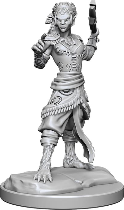 D&D Nolzur's Marvelous Miniatures Shifter Fighter