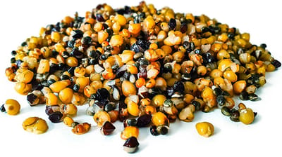 Golden Partikel Mix kant en klaar 5KG - Karpervissen - Partikels - Karper Aas - Karper Vissen - Karper Voer - Karper