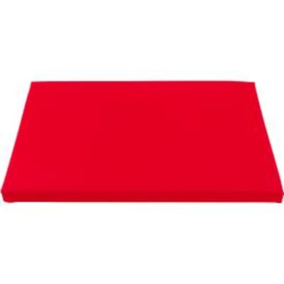Zitkussen  voor deksels uit de Economy-serie - schuim - 600 x 400 mm - rood - ons merk Schaefer Shop Pure